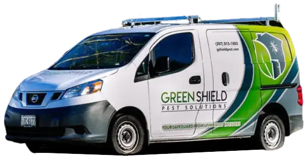 Pest Control in Vassalboro ME