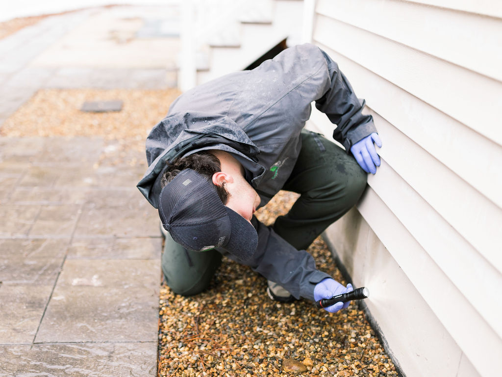 Pest Control Salem NH