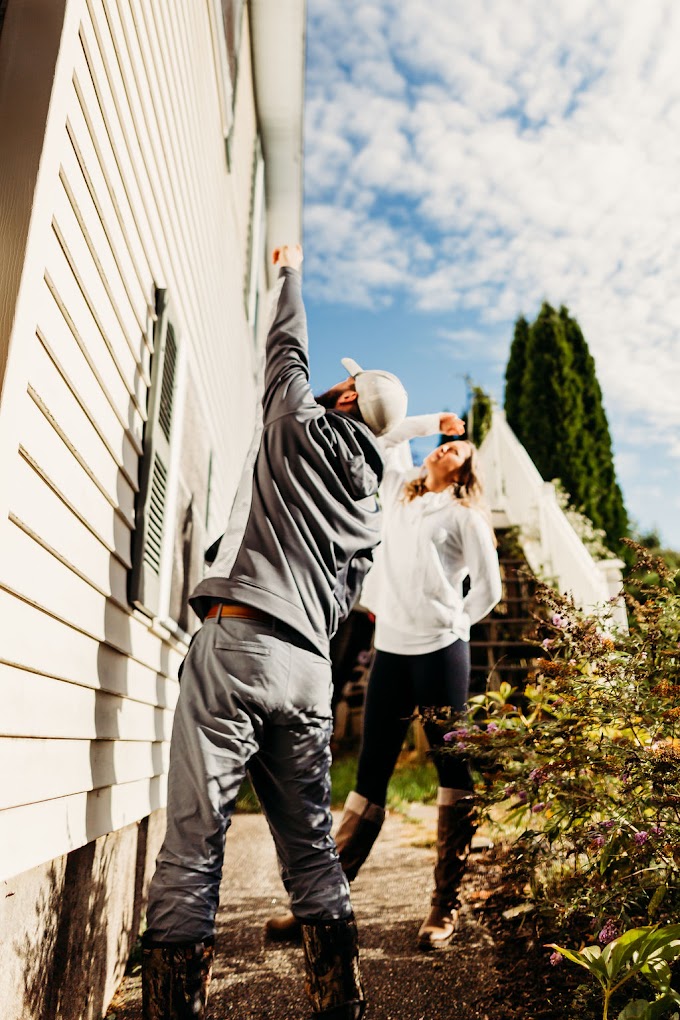 Pest Control in Maine and New Hampshire
