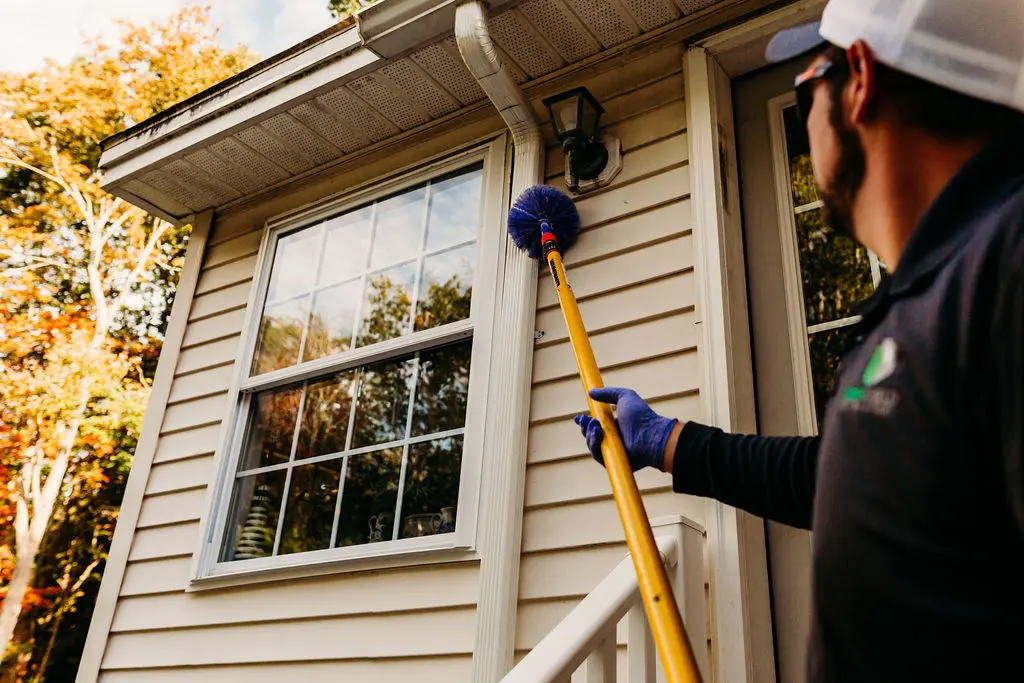 Brentwood, nh Pest Control Process